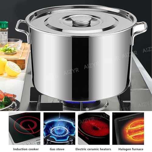 Marmite induction en inox compatible tous feux 50 cm - 6