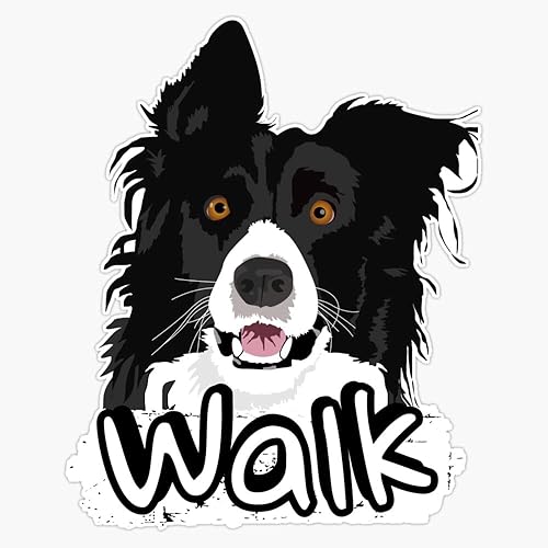 Pegatina de vinilo Border Collie Walk para parachoques de 5 pulgadas