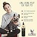 Pets are Kids Dog Deodorant Spray, Soothing Anti Itch Spray for Dogs & Cats with Natural Aloe Baking Soda, Immediate Relief for Itchy Skin Paws, Dog Perfume Pet Relief Hypoallergenic, Oatmeal 8oz