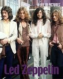 LED Zepplin (Life in Pictures)