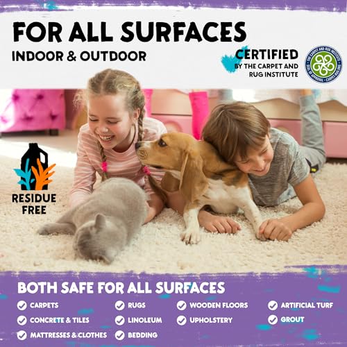 Image of Calyptus Pet Stain and Odor Remover | Orange and Enzyme Cleaner Duo Solution for Pets | 128oz (64oz x 2 Bottles) | Carpet Cleaner and Odor Eliminator for Cat Urine, Dog Pee, and Poop | Pro Strength