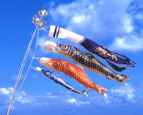 ō̂ڂ@@1.2m\Zbg@d@ʗ@IWinߍ|GXengp