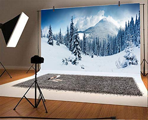 Fondo Fotográfico 10x8 FT Laeacco Diseño Invernal miniatura 2