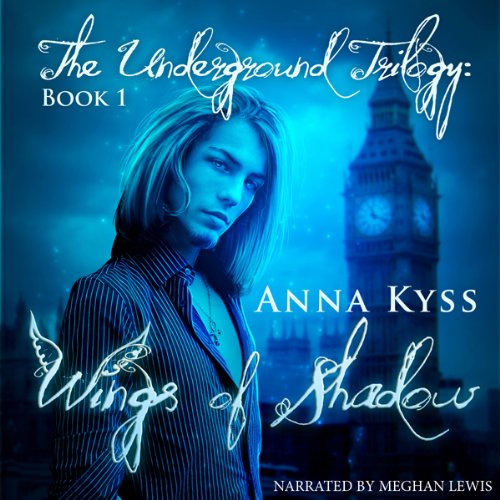Cover art for Wings of Shadow