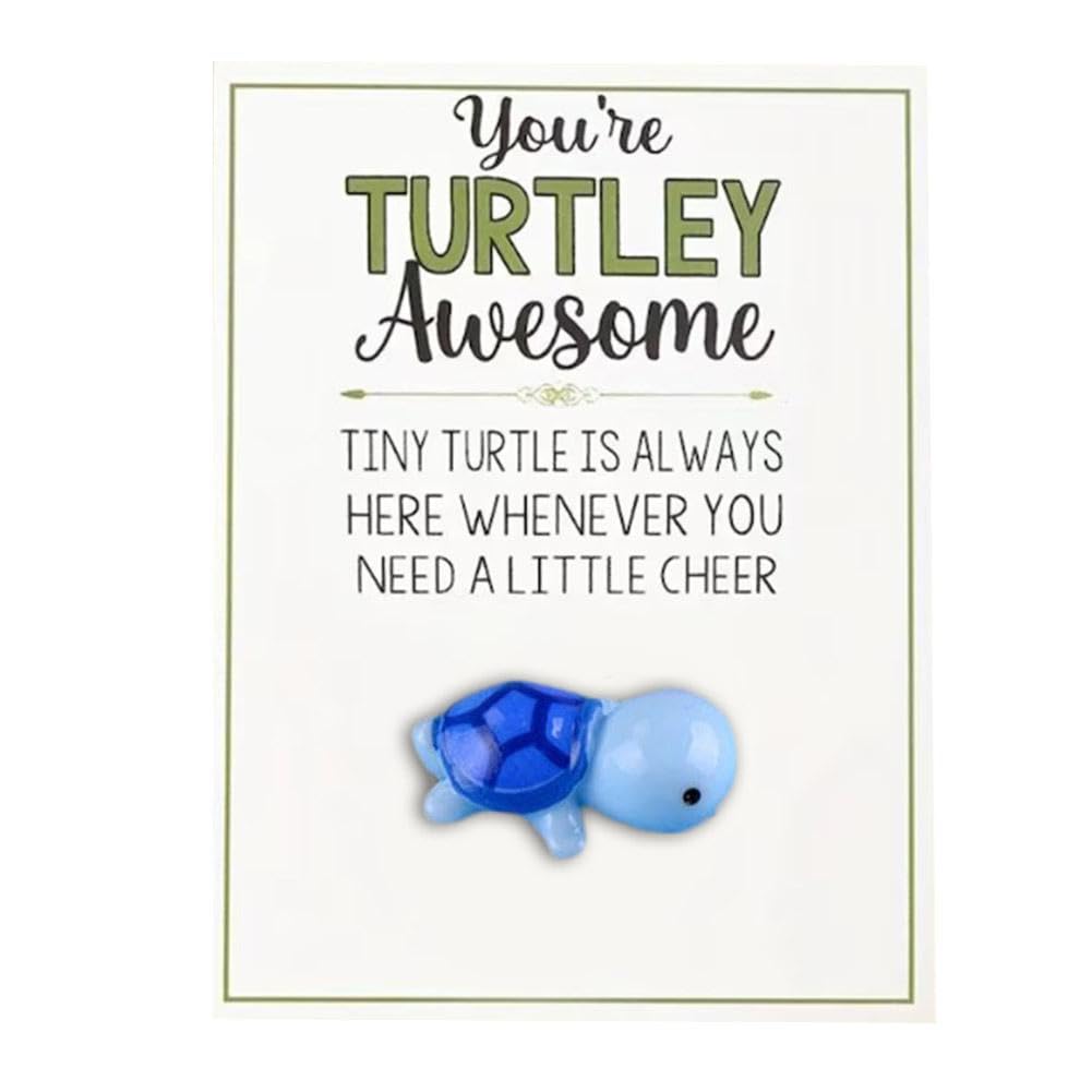 Pocket Hug Turtle, You're Turtley Awesome Ornaments Inspirational Gift con mini biglietti di ringraziamento Se Card, You Greeting Note