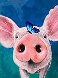 DIY 5D Diamond Painting Kits Pig Butterfly Pink, Diamntrum Crystal Rhinestone Embroidery Pictures Ar