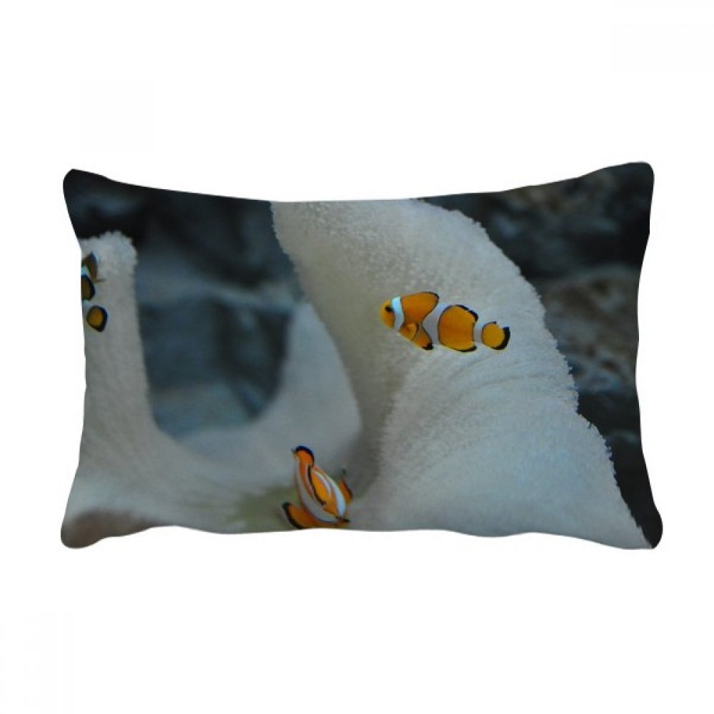 Coussin poisson clown océan impression photo nature haute qualité