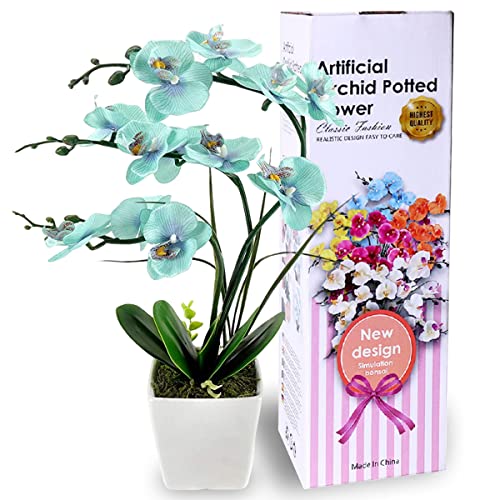 RERXN Dekorative echte Berührung gefälschte Orchidee Bonsai künstliche Blumen mit Keramik Blumentöpfe Phalaenopsis Blumenarrangements für Home Decoration (Blue 02) Cover