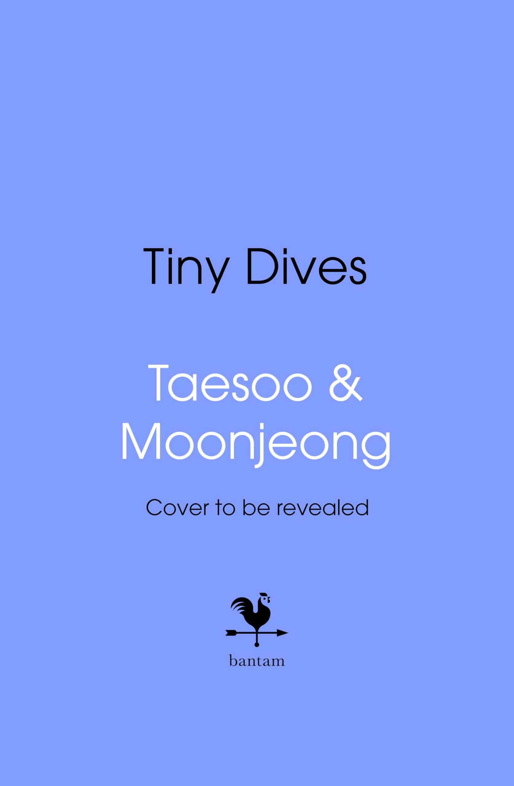 Tiny Dives: Finding micro-joys in the everyday
