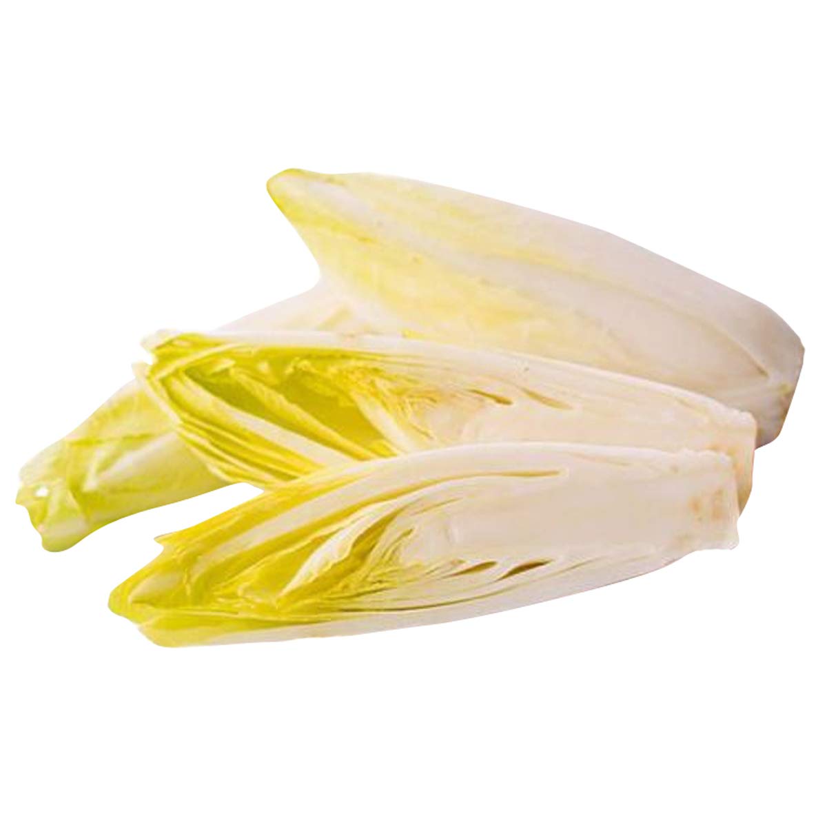 Nema Chicory Belgian Endive Vegetable Seeds-Yellow-100Pcs (B07SG3R7SX) Amazon Price History, Amazon Price Tracker