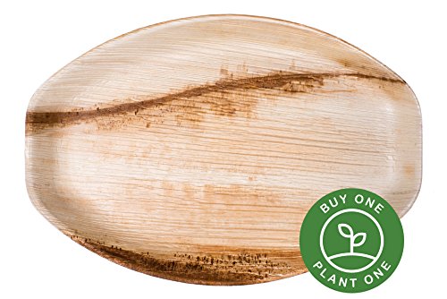 15" Oval Palm Leaf Serving Trays Platters - Pack of 5 - Disposable