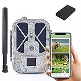 ♥ Video 4K más nítido + Imágenes más nítidas de 30MP: la cámara de caza de vida silvestre graba imágenes visuales y videos 4K emocionantes de alta calidad durante el día (en blanco y negro por la noche).