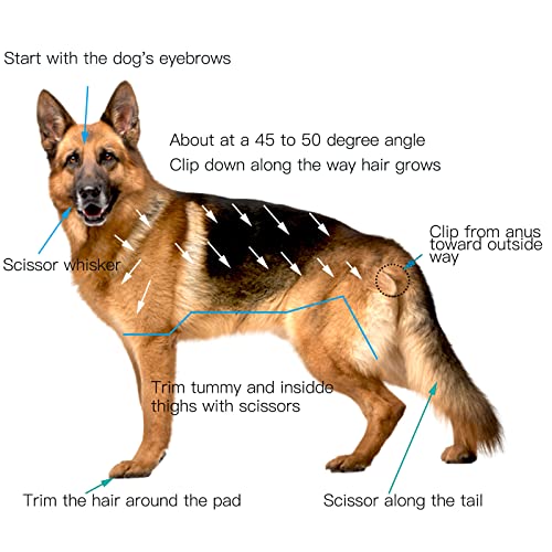 Jiangwavet Dog Cat Clippers Grooming Kit - Professional Cordless Rechargeable Dog Clippers，Low Noise & Suitable Horse Cat Dog Hair Clippers Shaver Tools #TOP6