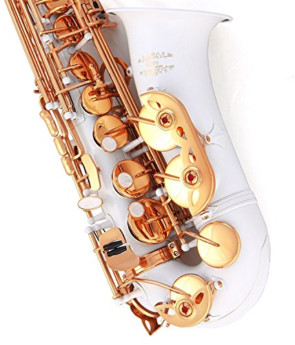 Image of Glory White Laquer E Flat Alto Saxophone with 11reeds,8 Pads cushions,case,carekit