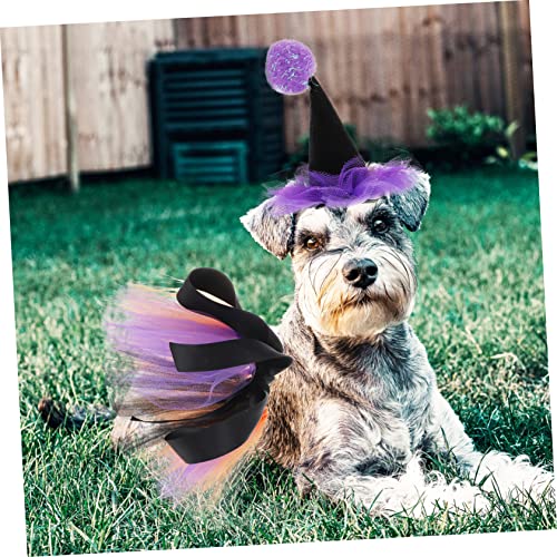 Disfraz Halloween para mascotas con sombrero y falda miniatura 4