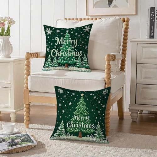 Housse de coussin 65x65 velours vert imperméable chic salon