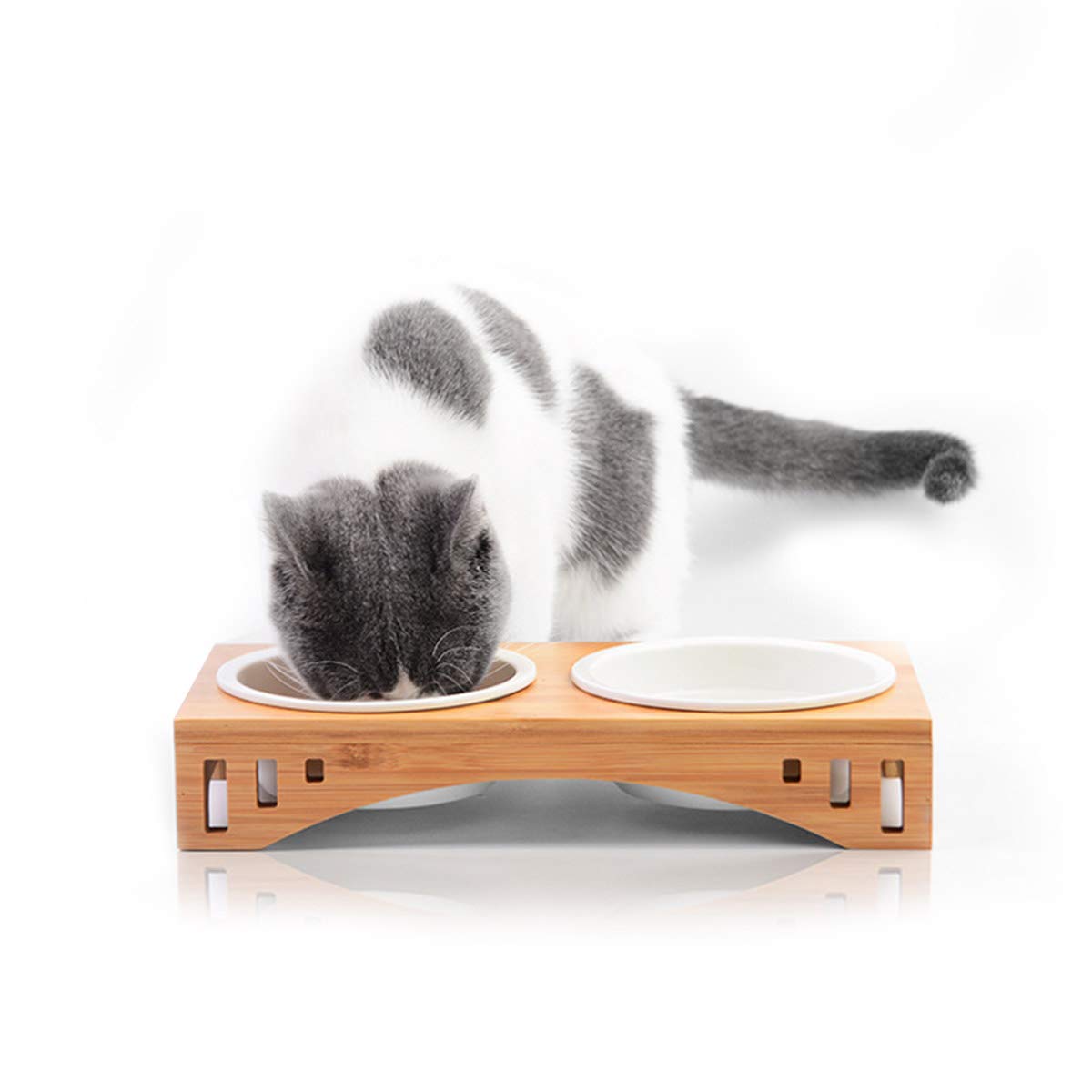 PETCUTE Katzen futternapf katzennäpfe Keramik katzennapf Doppel fressnapf für Katzen