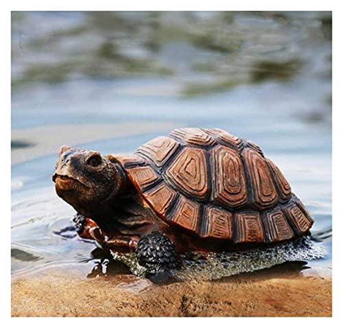 Statue tortue de jardin et terrasse pour une ambiance extérieure zen