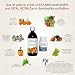 Vital Ultra – 480 ml Mikronährstoffkonzentrat & 30 vegane Kapseln Darm-Symbiotika – Vitamine, Mineralien, Spurenelemente & 23 Bakterienkulturen – hochdosiert 10 Milliarden Keime je Kapsel