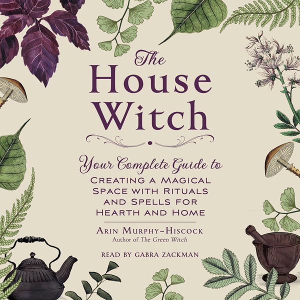 Cover art for The House Witch