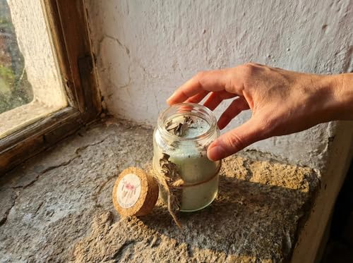 Bougie de sable Sauge Ambre Essences Agape pour purification