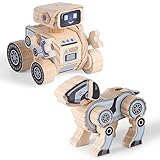 SainSmart Jr. 2-in-1 STEM...