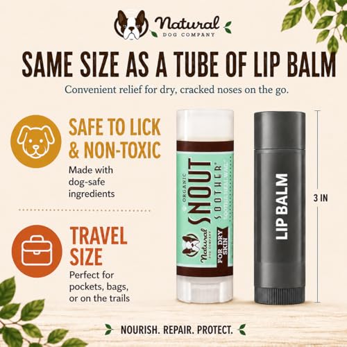 Natural Dog Company Snout Soother Dog Nose Balm, 0.15 oz Travel Stick | Moisturizer for Dry Crusty Noses, Coconut Oil & Shea Butter, Summer Care for Outdoor Dogs, Hot Weather & Beach Days