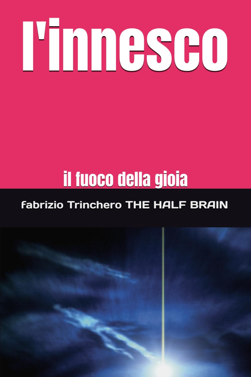 l'innesco: il fuoco della gioia (Notes from a Half-Brain Explorer the half brain fabrizio trinchero)