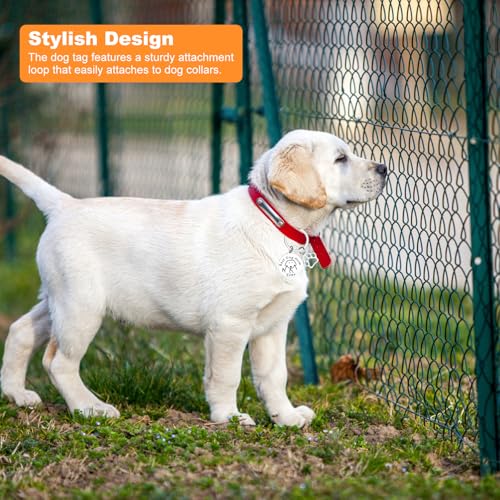 ZMDMAH Schlüsselanhänger für Hunde Mutter, Schlüsselanhänger Lustig Schlüsselanhänger Hund Hundemama Geschenk Geschenke für Hundebesitzer Geschenkidee für Hund Frauen und Mädchen Dog Mom