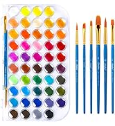 48 Colors Watercolor Paint Set: Ohuhu Water Color Paints Set with 6 Paint Brushes Non-toxic Water...