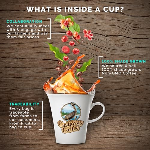 Castaway Coffee Monsoon Malabar K-Cup Pod 12 Count miniatura 7