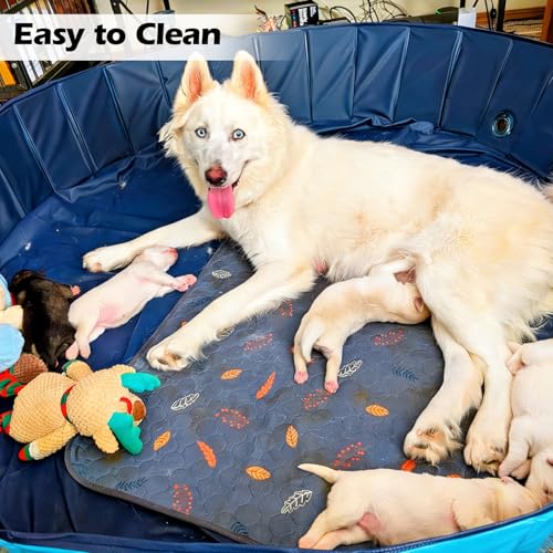 Image of Artilife Dog Whelping Box,Dog Whelping Box Pool,Whelping Box for Dogs Birthing,Welping Box Whelping Pen Whelping Box for Puppies Whelping Supplies (Blue, 39 inch Dia.x12 H)