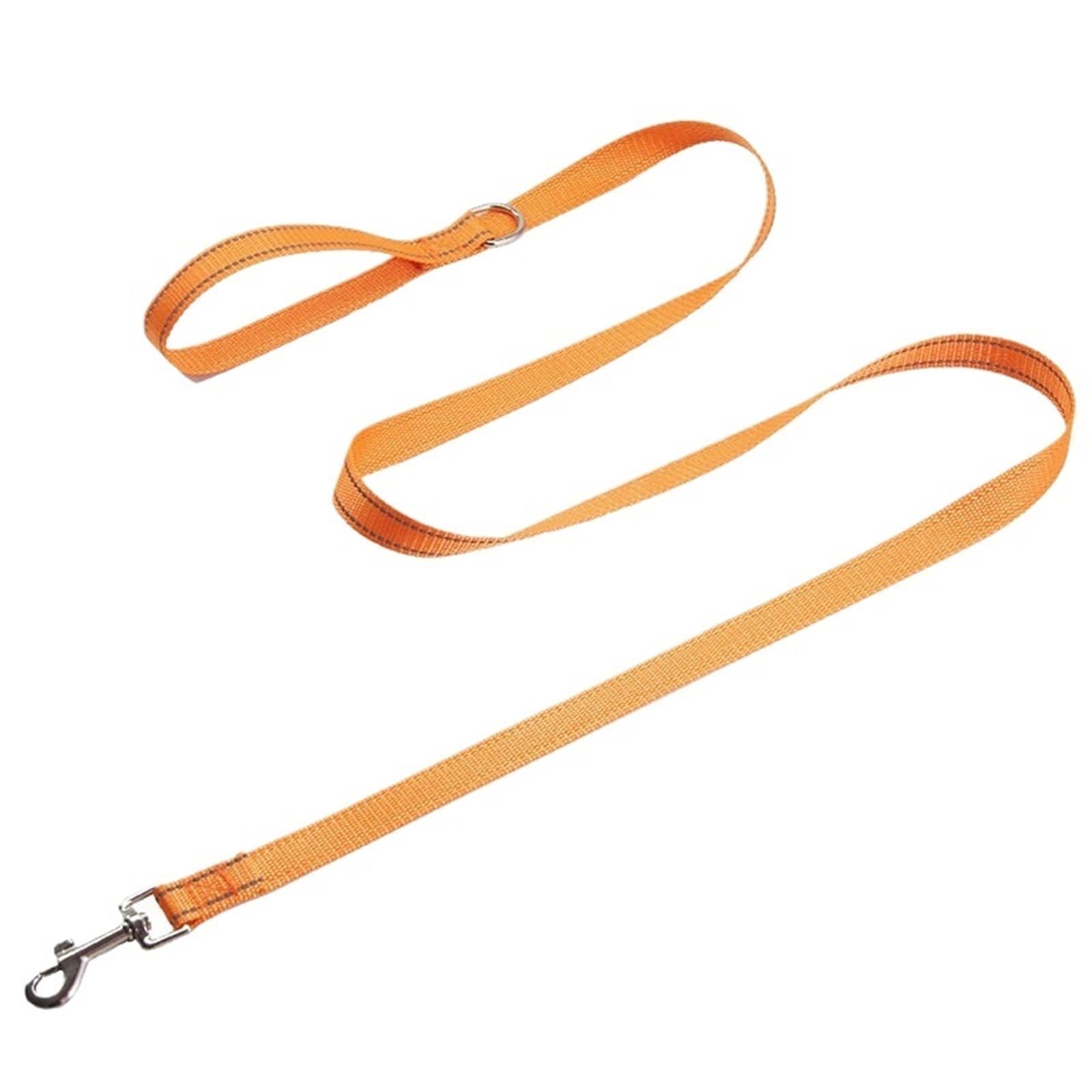 Collier de protection et laisse pour chat et chien de moyenne taille modèle A12