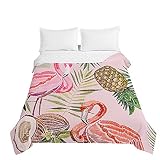 Colcha de Verano Cubrecama Colcha, 3D Flamenco Estampada Colchas Bouti Edredón Suave Ligero Manta para Dormitorio Cama Individual Matrimonio o Infantil (Fruta Tropical,180x220cm)