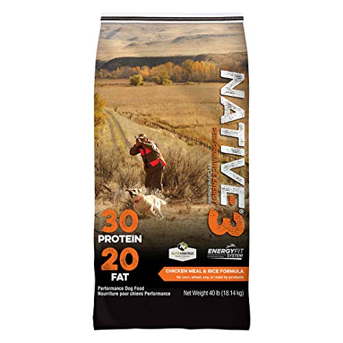 Best Dog Food for Labrador Retrievers 7 Vet Brands