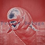 Projet Beluga