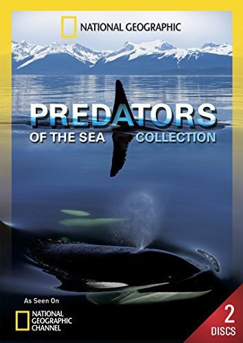 Predators of the Sea Collection Predators of the Sea Collection