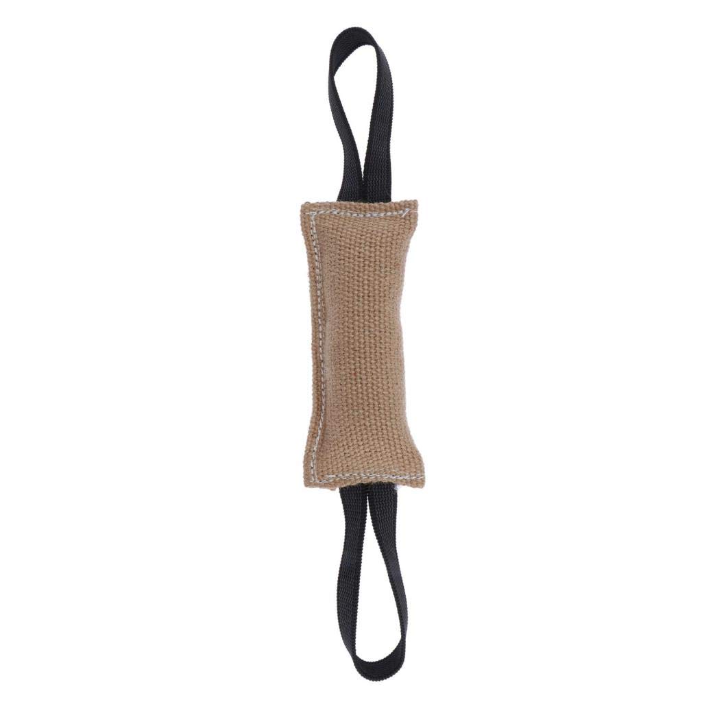 GAH Pet Dog Training Bite Tug Toys with Handle for Pet Chew Play Tug-20cm (B0BSNDCBXR) Amazon Price History, Amazon Price Tracker