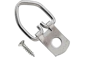 100 Pack Premium D-Ring Picture Hangers