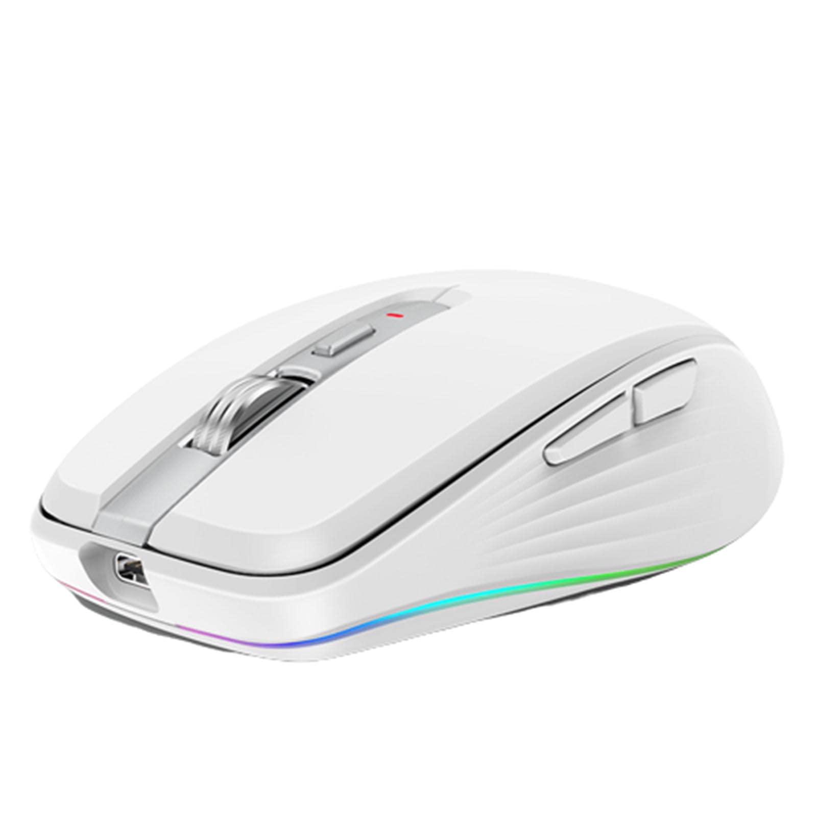 JUSHZ Souris sans Fil Ergonomique Gamer Bluetooth Gaming Rechargeable Lumière RVB 2,4 GHz USB PPP Réglable (100x65x34mm,White)