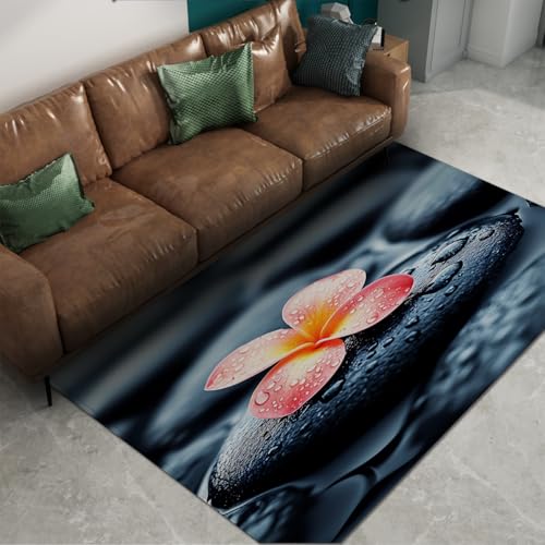 Tapis lavable à la machine 150x240 cm pliant à poil bas