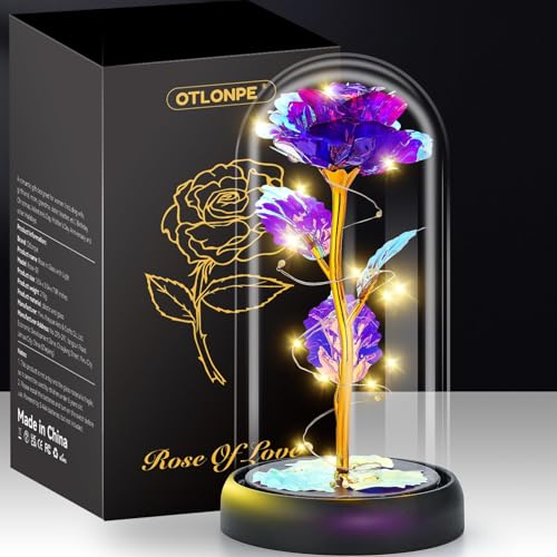 Otlonpe Blumen Geschenke für Frauen Muttertagsgeschenke für Mama, Geburtstagsgeschenk für Frauen Mama Freundin Oma, Ewige Rose im Glas mit LED Licht, Muttertagsgeschenk für Mama Oma (Lila)