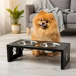 Comedouro Elevado Duplo para Pets Pequenos, Base em Alumínio com Pintura Eletrostática, Tigelas Removíveis em Aço Inox, Pés Antiderrapantes (PRETO)