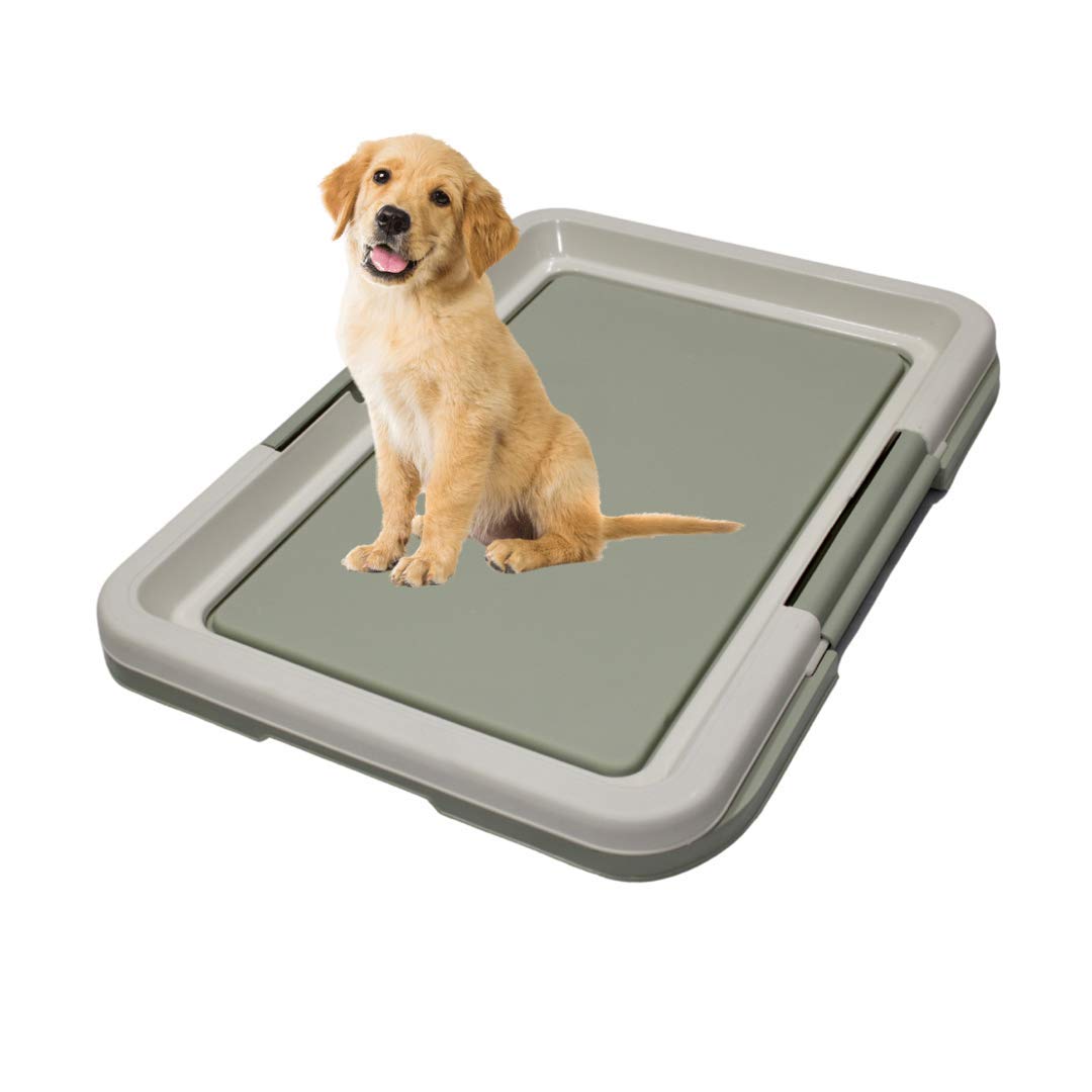 Taiyo Pluss Discovery® Portable Dog Toilet Potty Training Tray with Removable & Detachable Plate Tray for Indoor Pee Pad Holder for Puppies(Color May Vary)