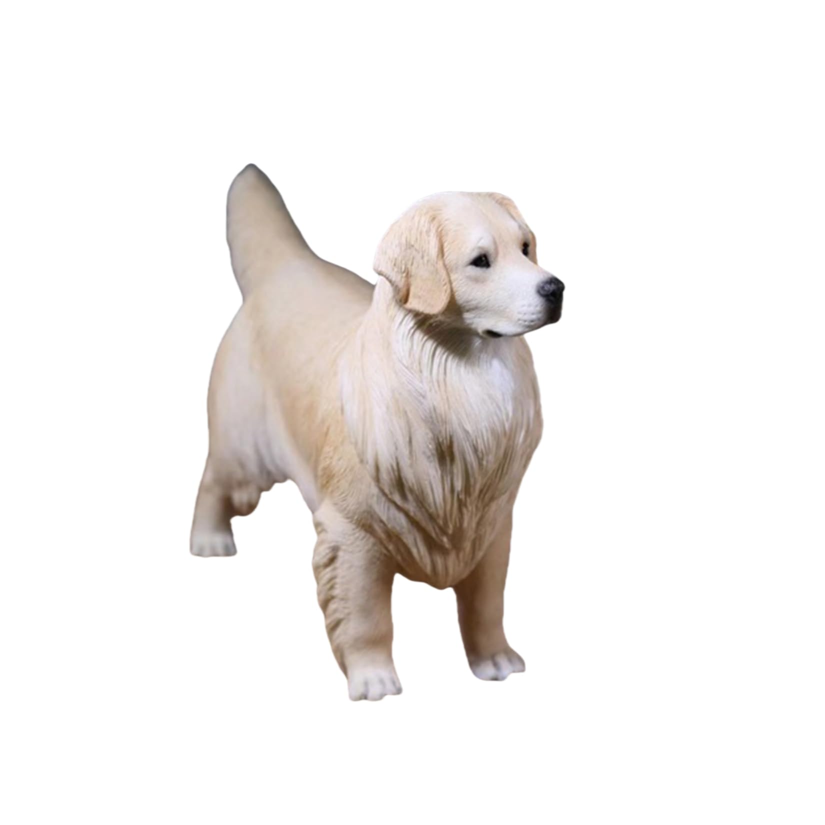 Amazon.co.jp: 1/6 サイズ ゴールデン・レトリバー 可愛い 犬 動物