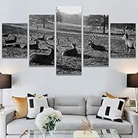 SIGNWIN 5 Panel Canvas Wall Art Animals Black and White Dramatic Duotone Modern Artwork for Home Decorations Ready to Hang - 60