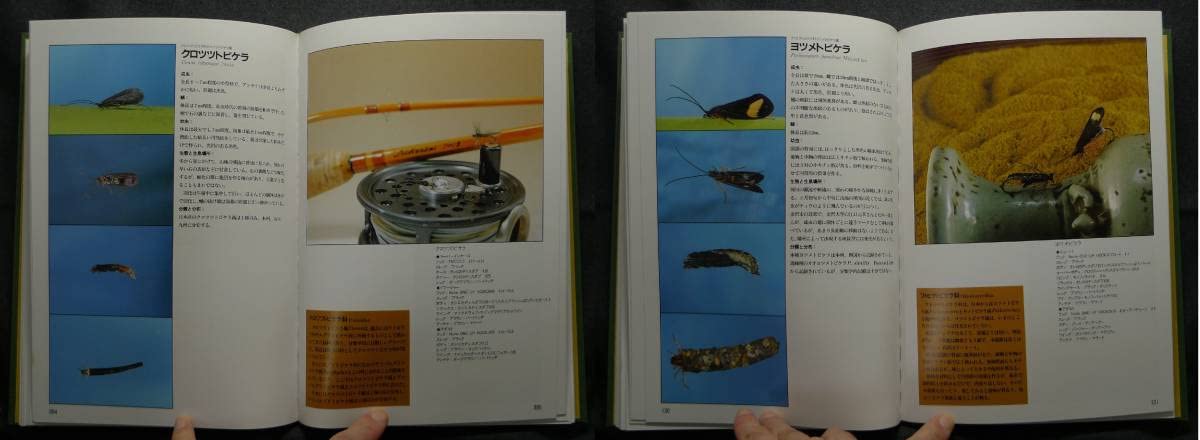 希少本 CADDIS トビケラとフライフィッシング フライフィッシング専門書初版 Amazon.co.jp: 超希少美品古本 CADDIS トビケラとフライ