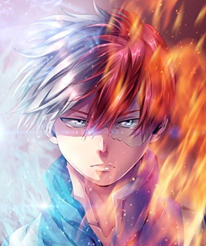 Todoroki Shouto (14inch x 17inch/35cm x 42cm) My Hero Academia Season 3 Midoriya Izuku All Might Waterproof Poster No Fading