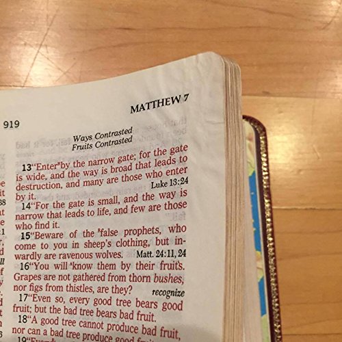 ROYAL 956RP - HOLY BIBLE - THE OPEN BIBLE - NAS... B075ZMYHLM Book Cover