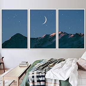 signwin 3 Piece Framed Canvas Wall Art Lunar...